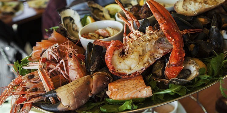 Cooking in South Africa | Cape Town | 08 Dias